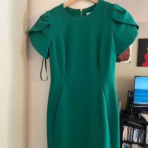 Tulip sleeve dress